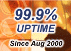 Our Web Hosting has a 99.9% Uptime